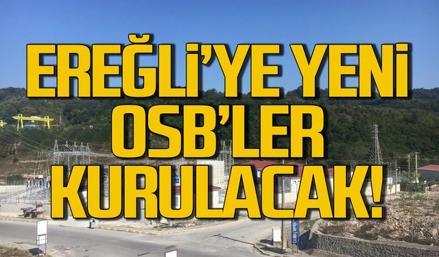 Ereğli'ye 160 yeni fabrika kurulacak!