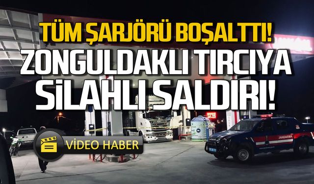 Zonguldaklı TIR şoförüne silahlı saldırı!