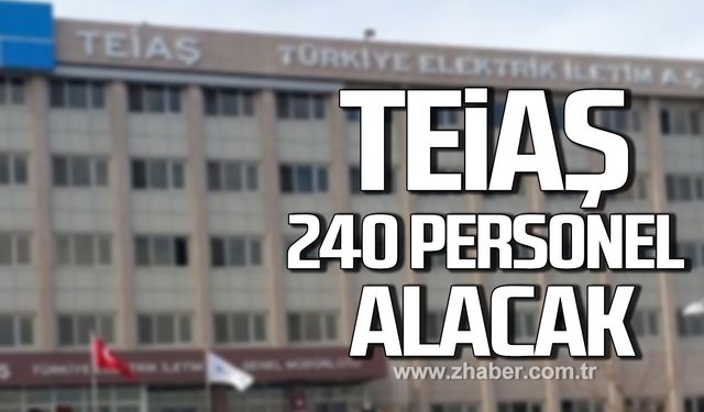 TEİAŞ 240 personel alacak!