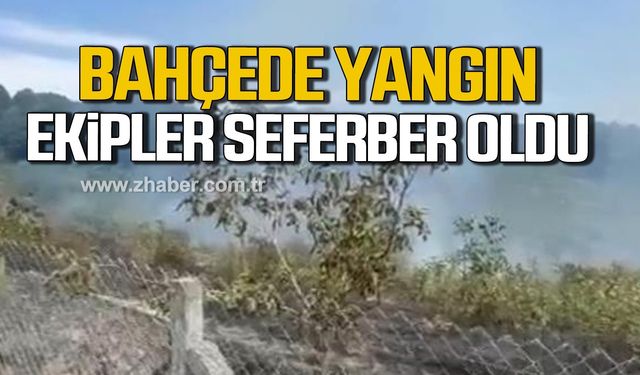 Alaplı'da fındık bahçesinde yangın! Ekipler seferber oldu