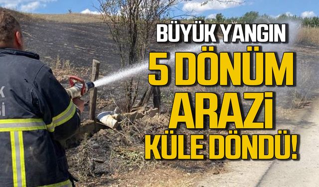 Karabük'te büyük yangın! 5 dönüm arazi küle döndü