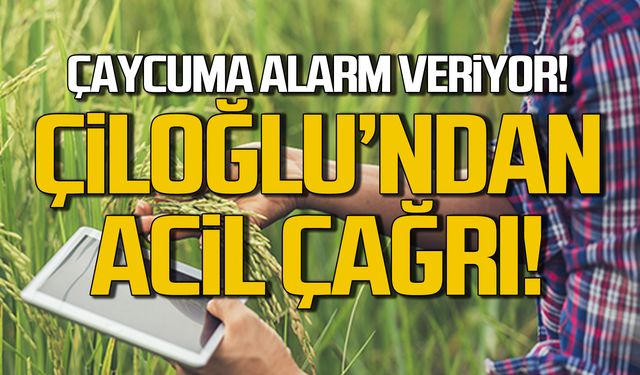 Çiloğlu'ndan acil çağrı! "Çaycuma Alarm veriyor"