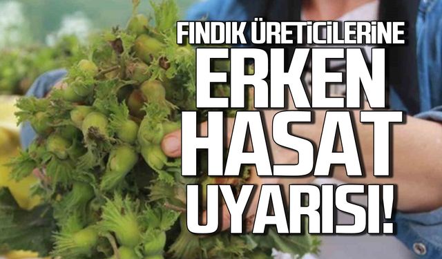 Fındık üreticilerine erken hasat uyarısı!