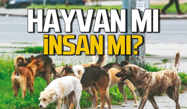 Hayvan mı İnsan mı?