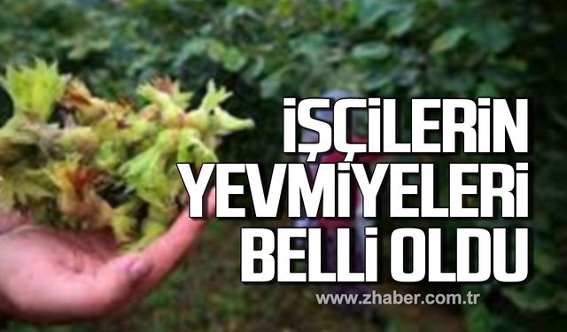 Bartın'da fındık işçilerinin yevmiyeleri belli oldu!