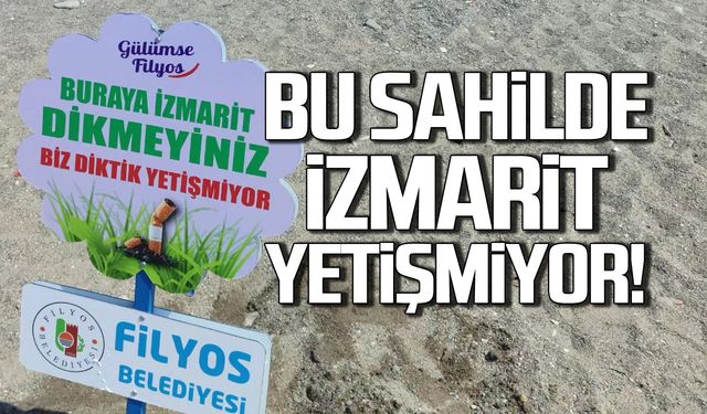 Dikkat! İzmarit ekmeyin, Filyos'ta yetişmiyor!