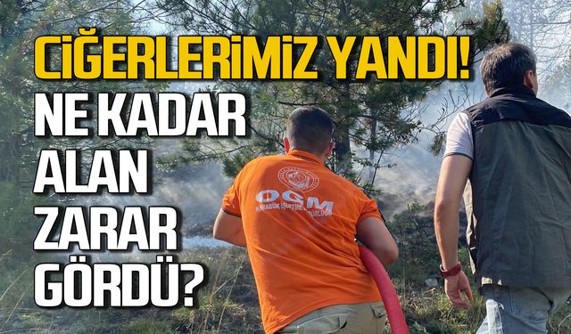 Karabük orman yangınında ne kadar alan zarar gördü!