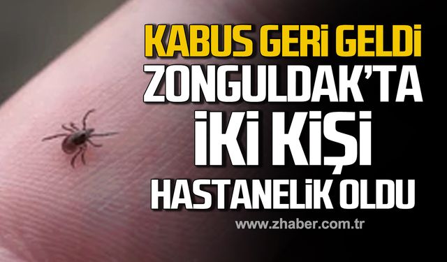 Kene kabusu geri geldi! Zonguldak'ta iki kişi hastanelik oldu!