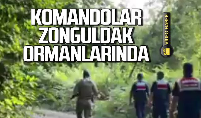 Komandoları Zonguldak ormanlarında! Tek tek uyardılar!