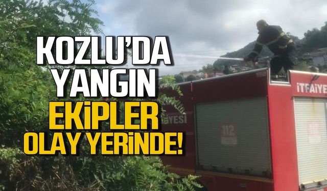 Kozlu'da yangın! İtfaiyeden hızlı müdahale!