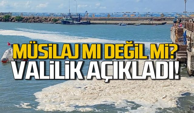 Valilik açıkladı! Karadeniz'deki kirliliğin sebebi müsilaj değilse ne?