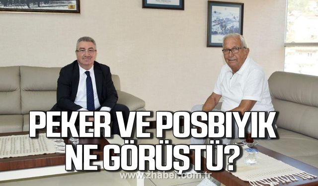 Aşkın Peker ve Halil Posbıyık ne görüştü?