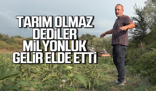 Gençlere örnek olmak için 25 dönüm araziye patlıcan dikti