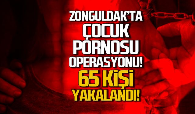 Zonguldak'ta çocuk pornosu operasyonu! 65 kişi yakalandı!