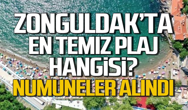 Zonguldak'ta en temiz plaj hangisi? Numuneler alındı