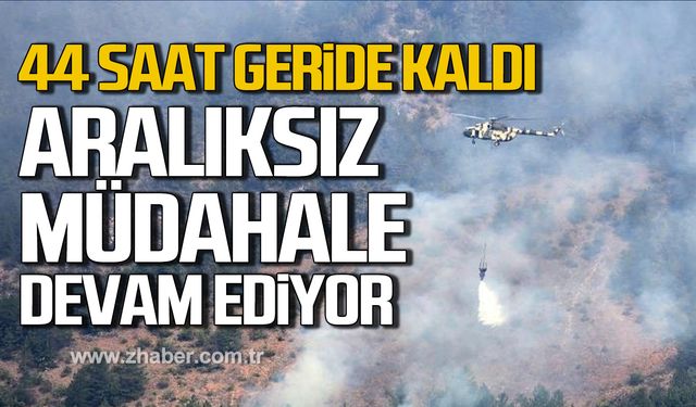 44 saat geride kaldı! Karabük'te orman yangınına aralıksız müdahale!