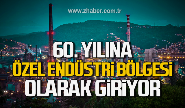 Erdemir 60. yılına Özel Endüstri Bölgesi olarak giriyor