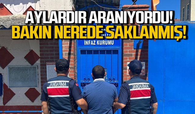 Aylardır aranıyordu! Jandarma kıskıvrak yakaladı!