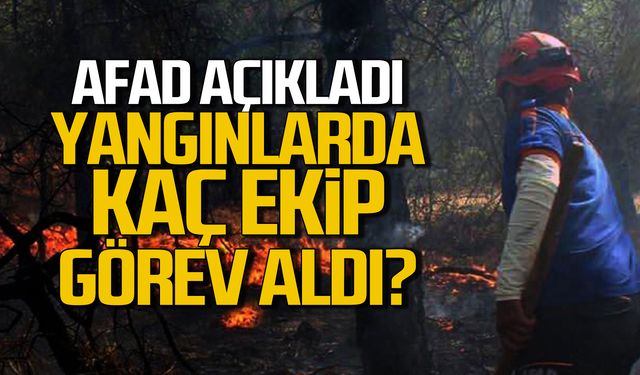 AFAD açıkladı! Yangınlarda kaç ekip görev aldı?