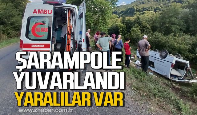 Alaplı'da araç şarampole yuvarlandı! Yaralılar var!