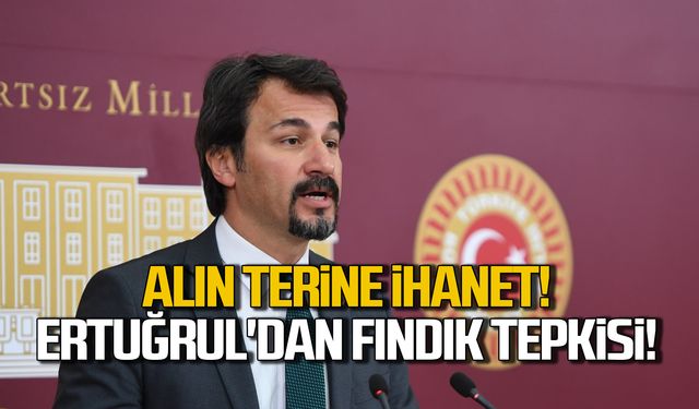 "Alın terine ihanet" Ertuğrul'dan fındık tepkisi