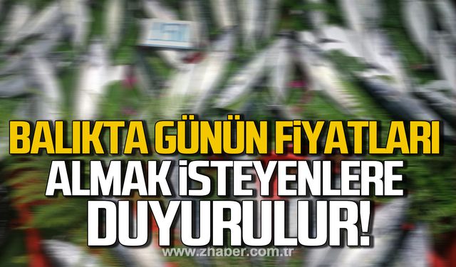 Balıkta günün fiyatları! Almak isteyenlere duyurulur!