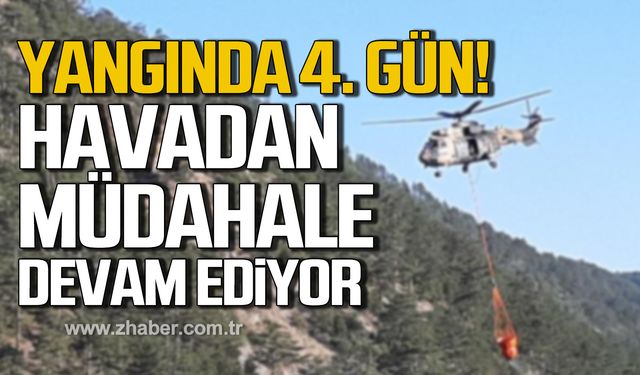 Bolu'da orman yangınında 4. gün! Havadan müdahale devam ediyor!