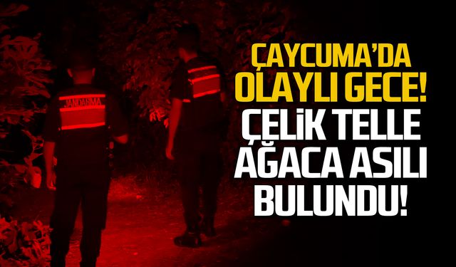 Çaycuma'da olaylı gece! Çelik telle ağaca asılı bulundu!