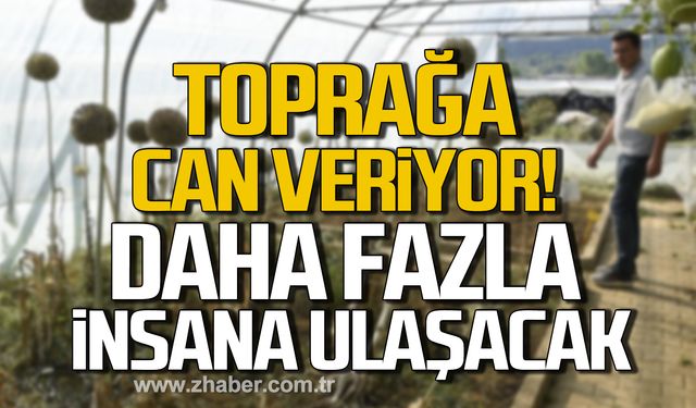 Yerel tohum toprağa can veriyor! "Daha fazla insana ulaşacak"