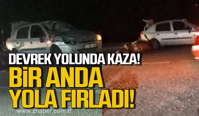 Zonguldak Devrek yolunda kaza! Büyükbaş hayvana çarptı!