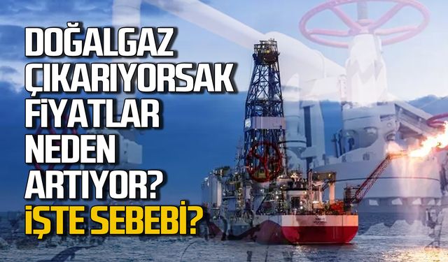 Yerli doğalgaz çıkarıyorsak fiyatlar neden artıyor?