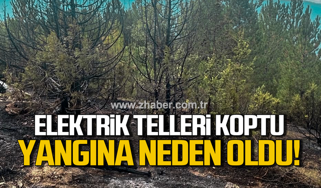 Karabük'te elektrik tellerinden yangın çıktı!