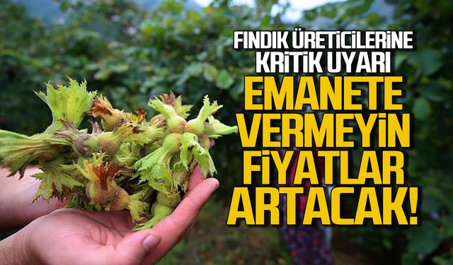 Fındık üreticisine kritik uyarı! Emanete vermeyin fiyatlar artacak!