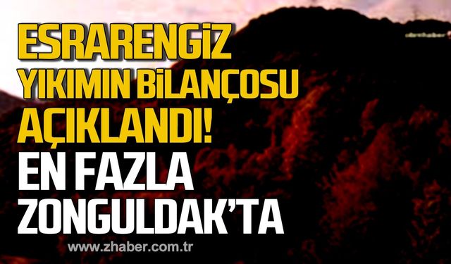 Ormanlardaki esrarengiz yıkımın bilançosu ağırlaştı! En fazla Zonguldak'ta!