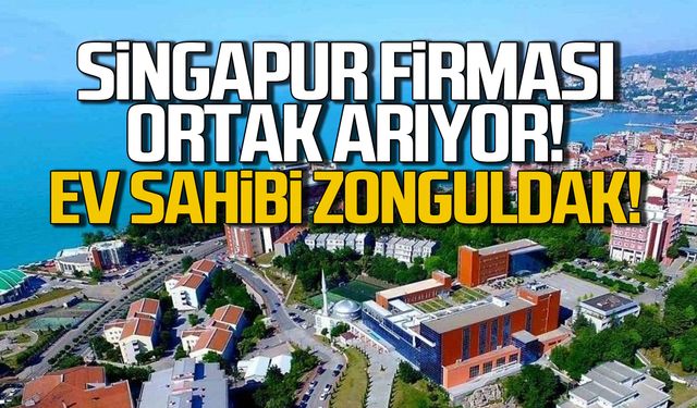 Singapur Türk ortak arıyor! Ev sahibi Zonguldak!