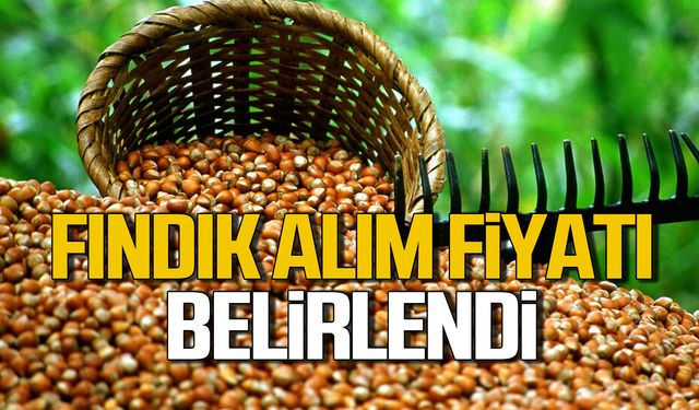 Fındık alım fiyatı belirlendi