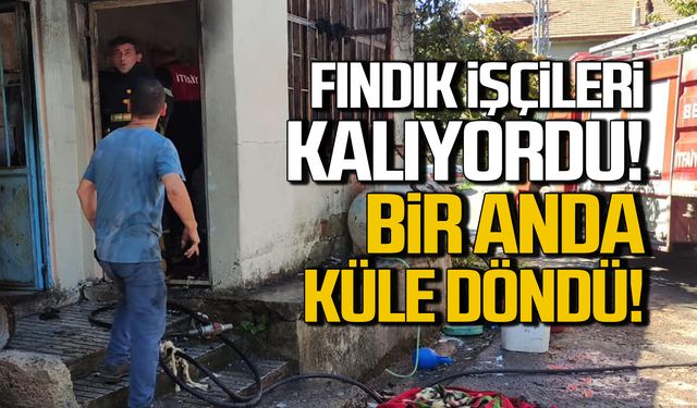 Alaplı'da fındık işçilerinin kaldığı ev alev alev yandı!