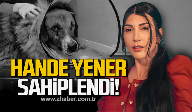 Hedef tahtası gibi ateş edilen köpeği Hande Yener sahiplendi!