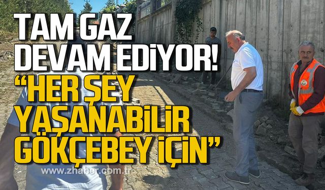 Çalışmalar tam gaz devam ediyor! "Her şey yaşanabilir Gökçebey için"