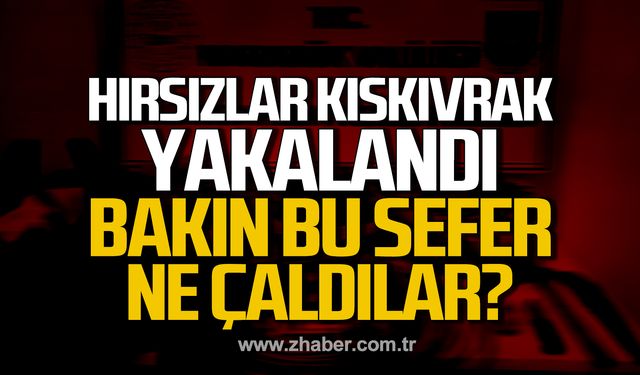 Karabük’te hırsızlar kıskıvrak yakalandı! Bakın bu sefer ne çaldılar?