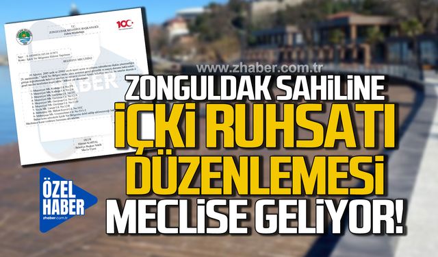 Zonguldak Sahili'ne içki ruhsatı düzenlemesi geliyor!