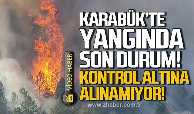 Karabük'te yangında son durum! Kontrol altına alınamıyor!