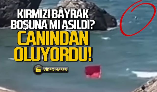 Kırmızı bayrağa aldırmadı! Kayalıklara sürüklendi!