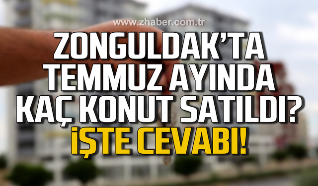 Zonguldak’ta 2024 yılı Temmuz ayında kaç konut satıldı? İşte sonuçlar!