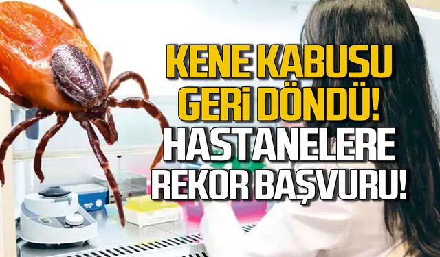 Kene kabusu geri döndü! Hastanelere rekor başvuru!