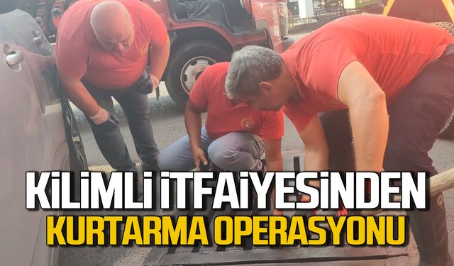 Kilimli itfaiyesinden kurtarma operasyonu!