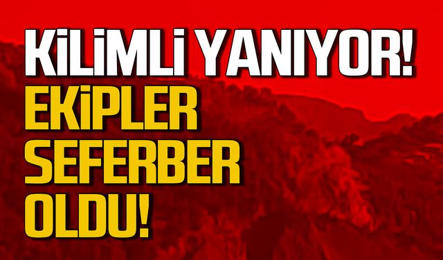 Kilimli'de yeniden orman yangını çıktı! Ekipler seferber oldu!