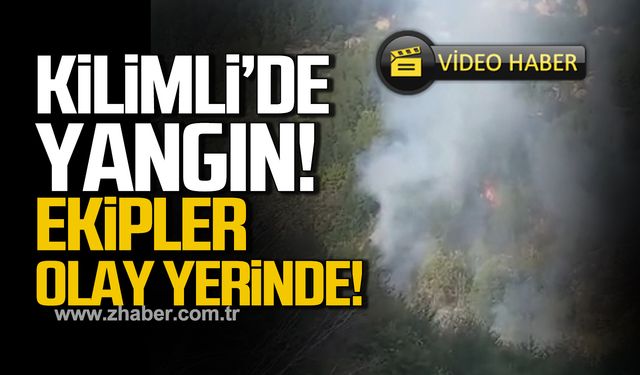 Kilimli'de orman yangını! Ekipler olay yerinde!