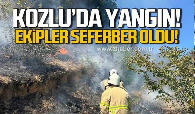 Kozlu’da bahçe yangını! Ekipler seferber oldu!