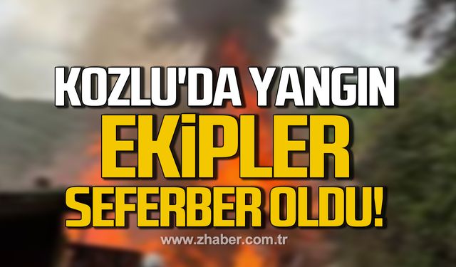 Kozlu'da anız yangını! Ekipler seferber oldu!